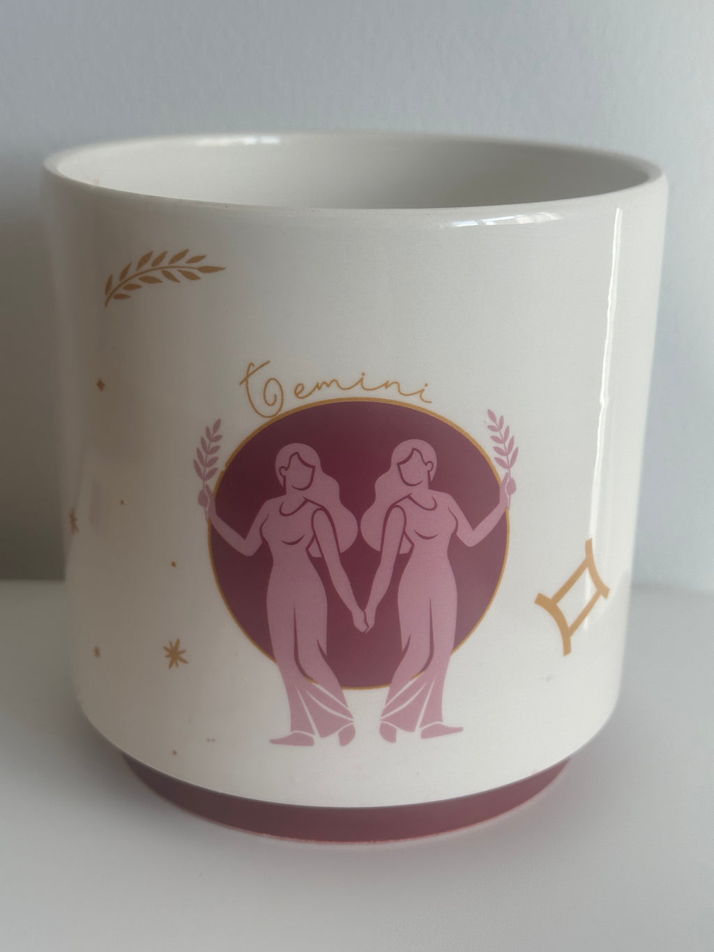 Gemini indoor plant pot