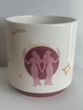 Gemini indoor plant pot