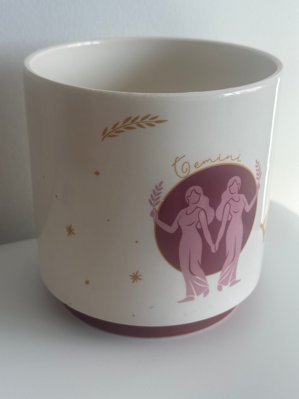 Gemini indoor plant pot