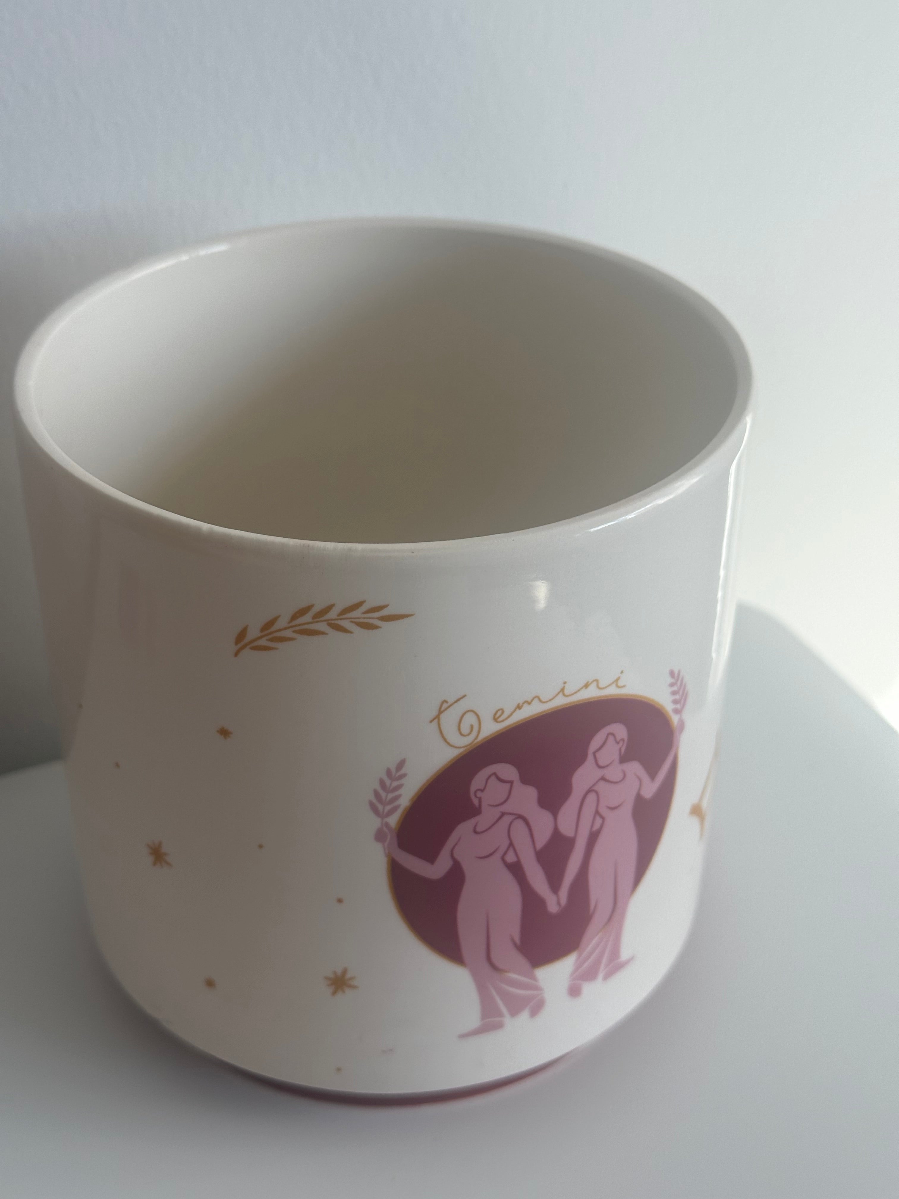 Gemini indoor plant pot
