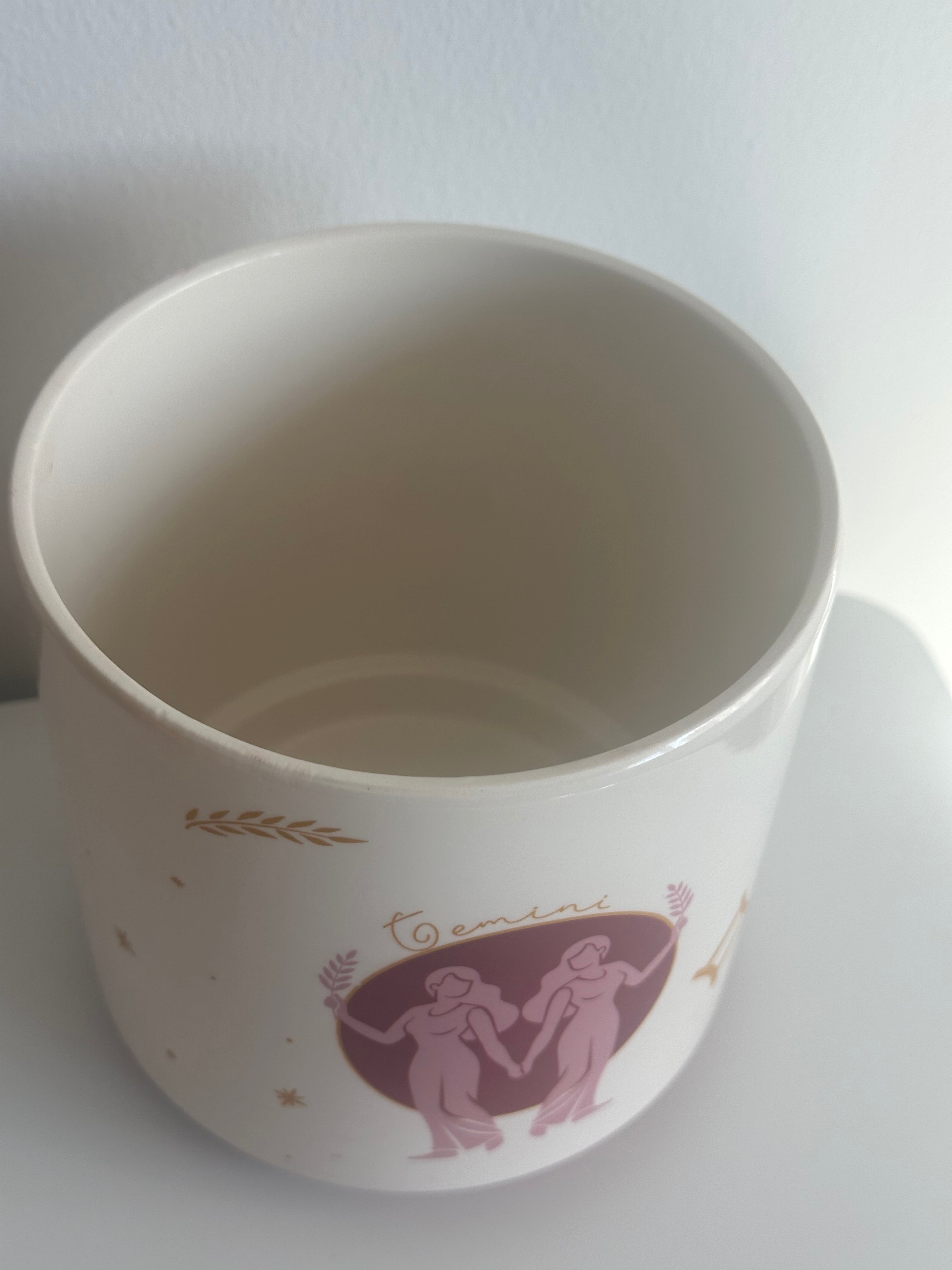 Gemini indoor plant pot