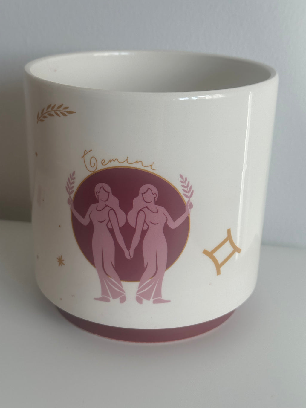 Gemini indoor plant pot